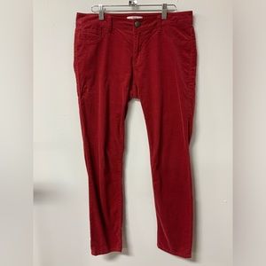CAbi (8) red corduroy pant